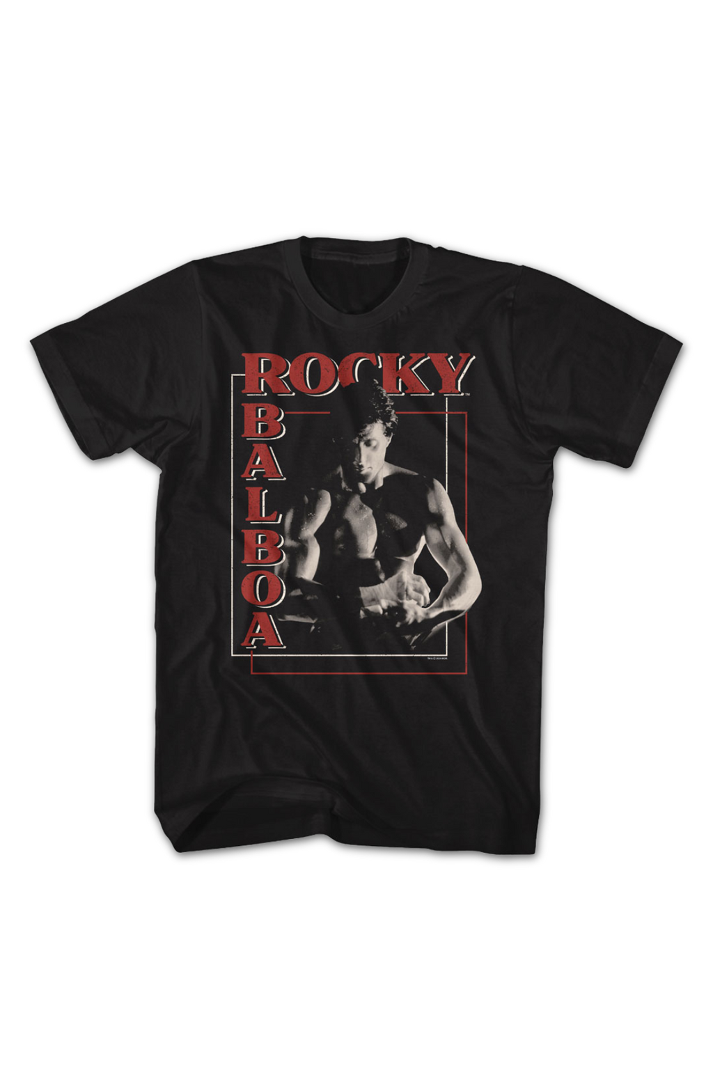 Boxer's Boxes Rocky T-Shirt product image 2