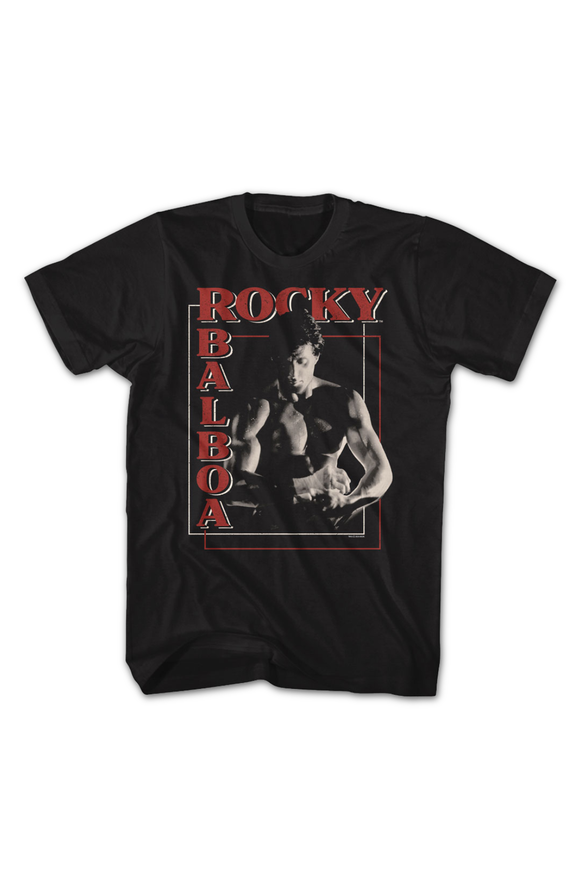 Boxer's Boxes Rocky T-Shirt product image 2