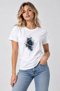Celestial Sphere product image 1
