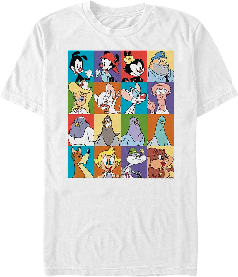 Classic Character Blocks Animaniacs T-Shirt product image 1