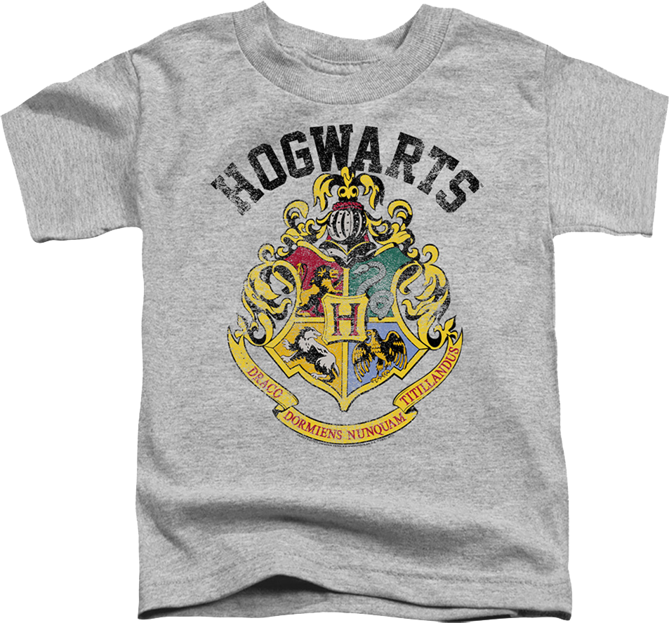 Youth Vintage Hogwarts Crest Harry Potter Shirt product image 1